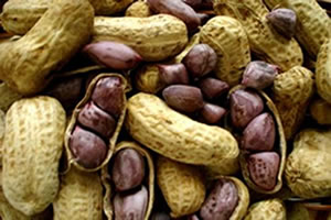 Amendoim é um alimento altamente calórico.