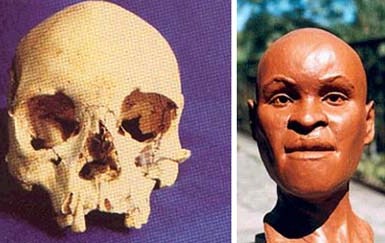 cranio%20pre%20historia.jpg