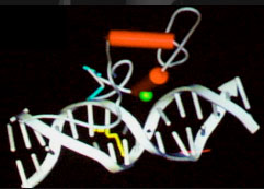 Alteração nucleotídica na fita de DNA