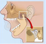 Articulação temporomandibular