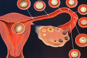 O que é menstruação?