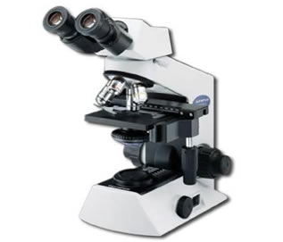 Microscópio óptico – o mais utilizado em escolas e universidades