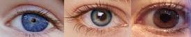 Padrão de cor dos olhos é um exemplo de herança quantitativa