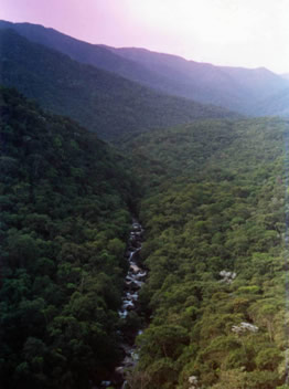 Clima tropical de altitude: resumo, características - Brasil Escola