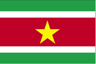 Bandeira do Suriname