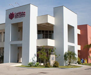 Campus Mafra