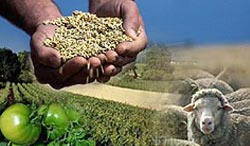 Uma das funções do Técnico em Agroindústria é atuar na administração de empresas rurais.