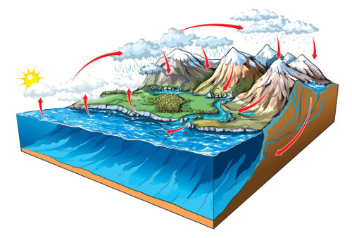 O ciclo da água é um ciclo biogeoquímico bastante abordado no Enem