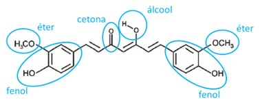  Funções orgânicas existentes na molécula da curcumina.