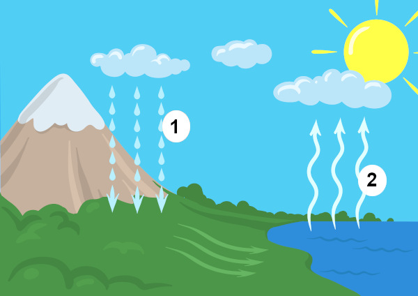 Perguntas e Respostas Meio Ambiente PDF, PDF, Ciclo da água