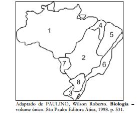 Mapa simples de questão representando a localização de oito biomas brasileiros.