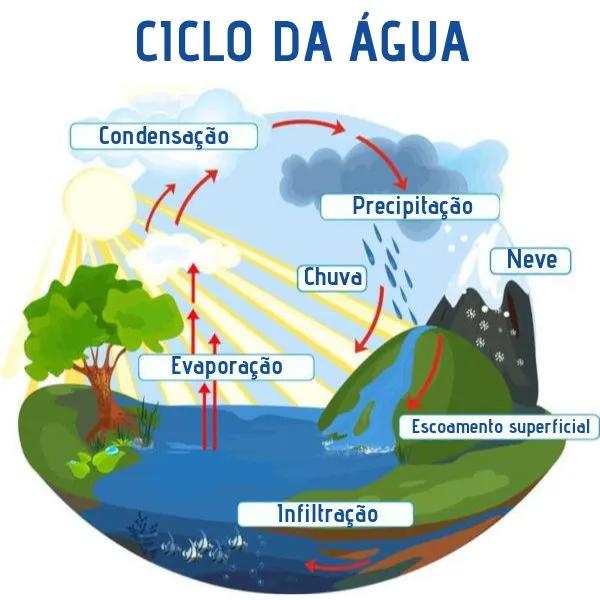 Esquema ilustrativo das etapas do ciclo da água.