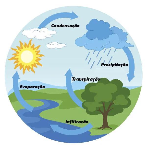 Esquema ilustrativo das etapas do ciclo da água na natureza.
