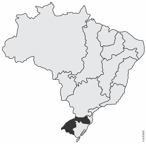 Mapa das bacias hidrográficas brasileiras, havendo uma, mais ao sul, destacada.