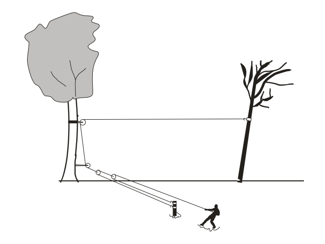 Ilustração de um homem derrubando uma árvore em uma questão da Acafe sobre roldanas ou polias.