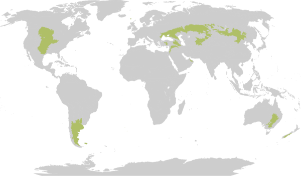 Mapa-múndi evidenciando a localização dos Campos em exercício sobre esse bioma.