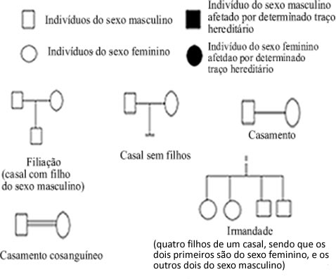 Símbolos utilizados na construção de um heredograma