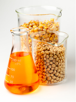 O biodiesel é obtido pela transesterificação de óleos vegetais como o do milho e da soja