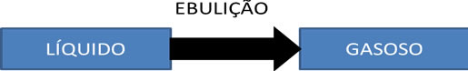 Ebulição é a passagem de uma substância do estado líquido para o gasoso