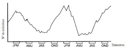 Gráfico Flutuação do número de indivíduos de determinada população do cerrado mineiro