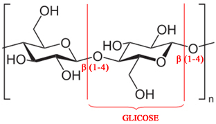 A celulose é formada pela condensação de um grande número de moléculas de glicose