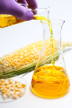 Os biocombustíveis são oriundos de matéria orgânica como o milho