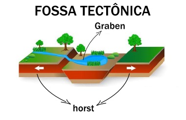 Fossa tectônica