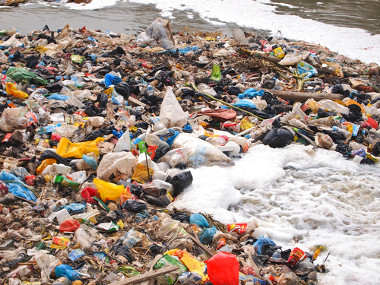 Os polímeros de origem fóssil não são biodegradáveis e geram grande poluição