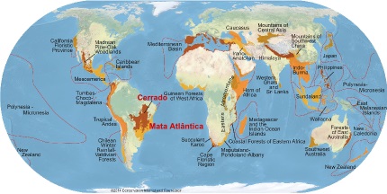 Hotspots mundiais Mapa elaborado pela Conservação Internacional com os hotspots mundiais