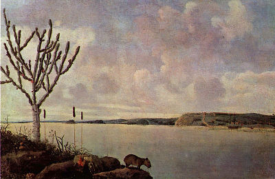 Frans Post O rio São Francisco
