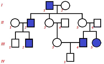 Observe o heredograma e as diferentes famílias representadas
