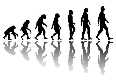 Observe o esquema de evolução humana acima