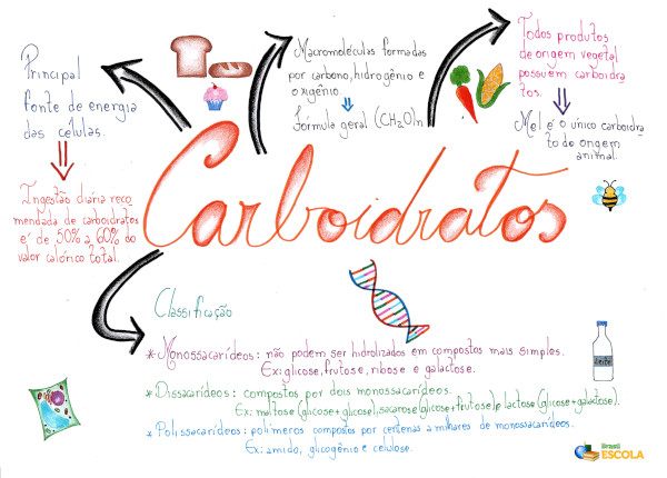 A Classificação Dos Carboidratos E Exemplos De Cada Um Deles