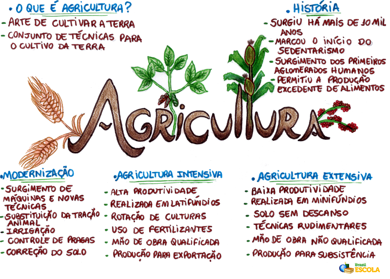 Mapa Mental: Agricultura