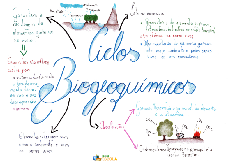 Mapa mental dos ciclos biogeoquímicos.