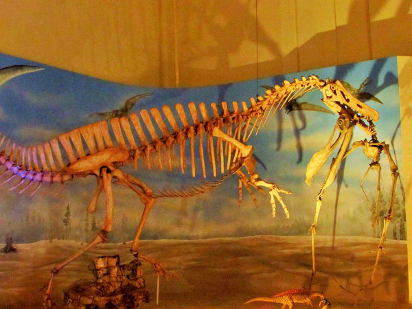 Sala dos dinossauros, no Museu Nacional. (Foto: Acervo pessoal da Dra. Elysiane de Barros Marinho)