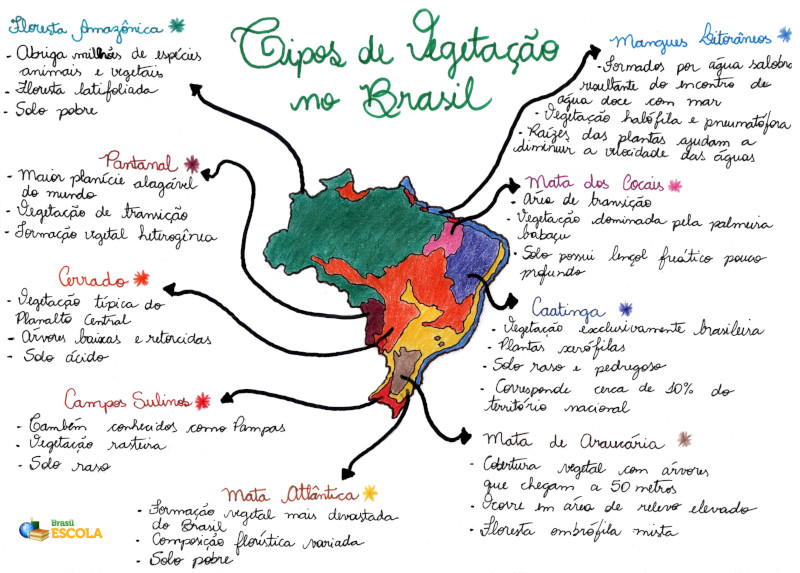 vegetação do Brasil - Geografia