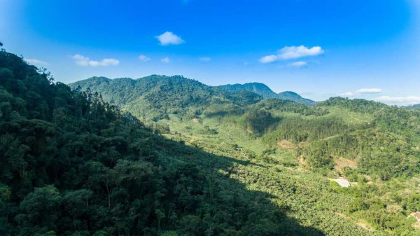 Paisagem natural do bioma Mata Atlântica, um dos biomas brasileiros.