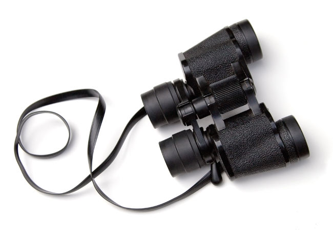 O binóculo é formado por lentes objetivas, oculares e prismas inversores.