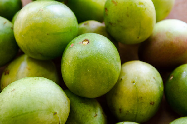 O umbu é uma fruta típica do Nordeste brasileiro.