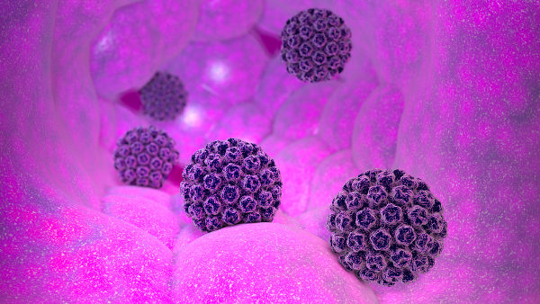 Vírus HPV.