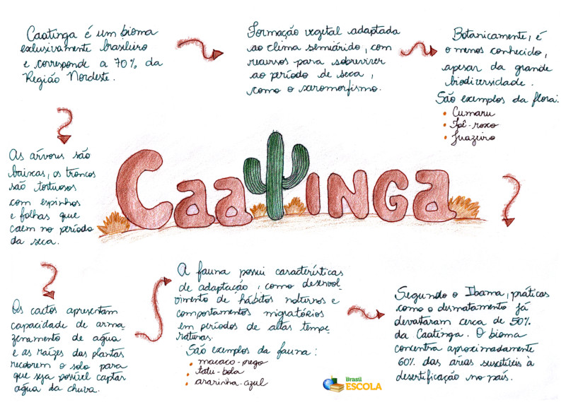 Mapa Mental: Caatinga