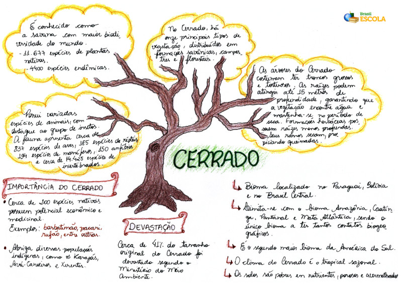Mapa Mental: Cerrado