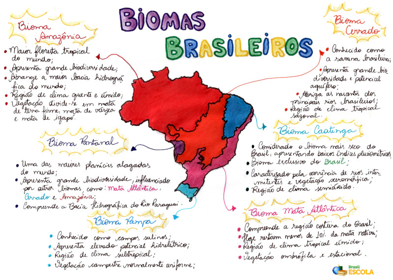 Mapa mental sobre os biomas brasileiros.