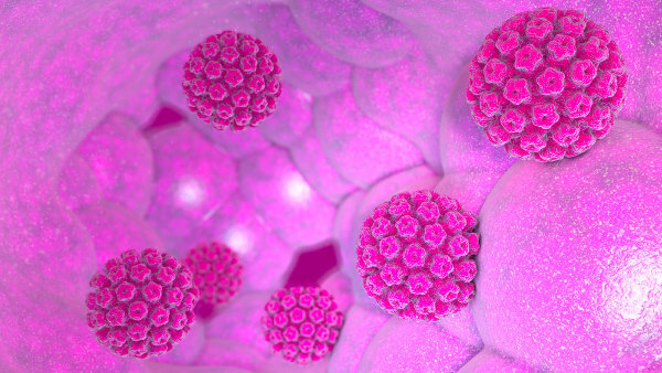 HPV é o nome dado a um grupo de vírus que afeta pele e mucosas. Alguns tipos de HPV estão relacionados com o câncer do colo do útero.