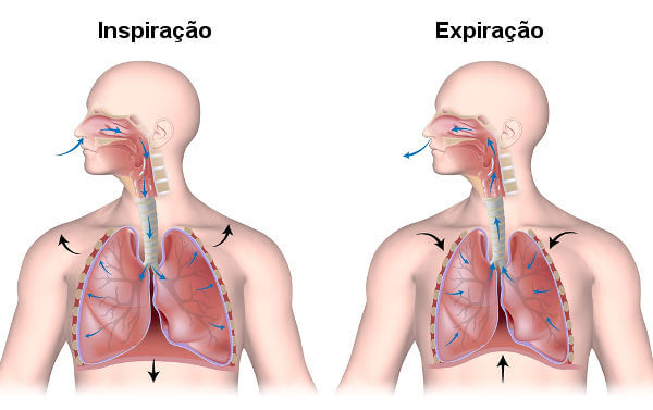 Representação dos movimentos respiratórios no corpo humano.