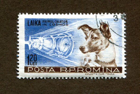 Selo com a imagem da cadela Laika, lançada no Sputnik 2 durante a corrida espacial.