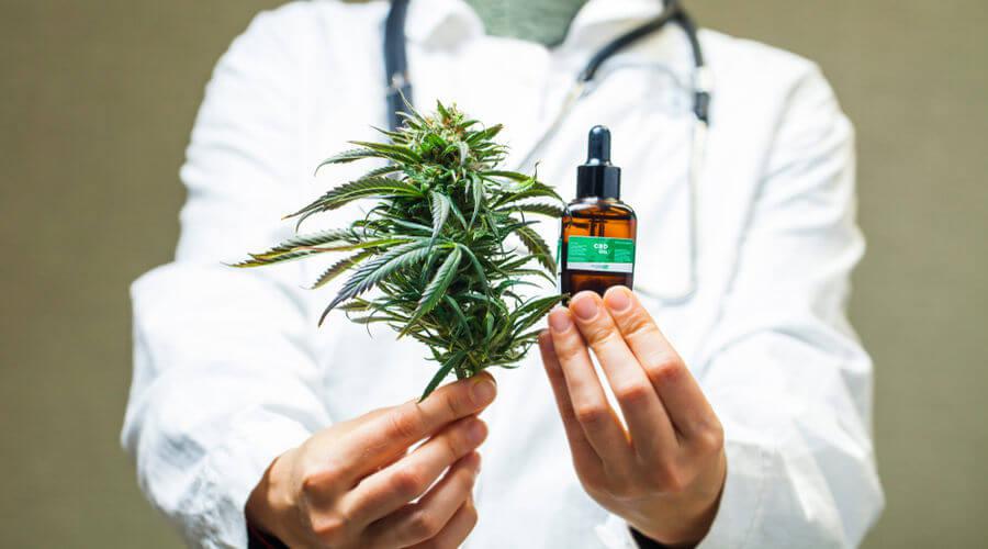 Pessoa de jaleco segurando uma planta de maconha e um frasco.