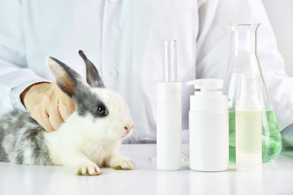 Pessoa segurando um coelho e ao lado alguns frascos, para representar os produtos que são testados em animais nos laboratórios.