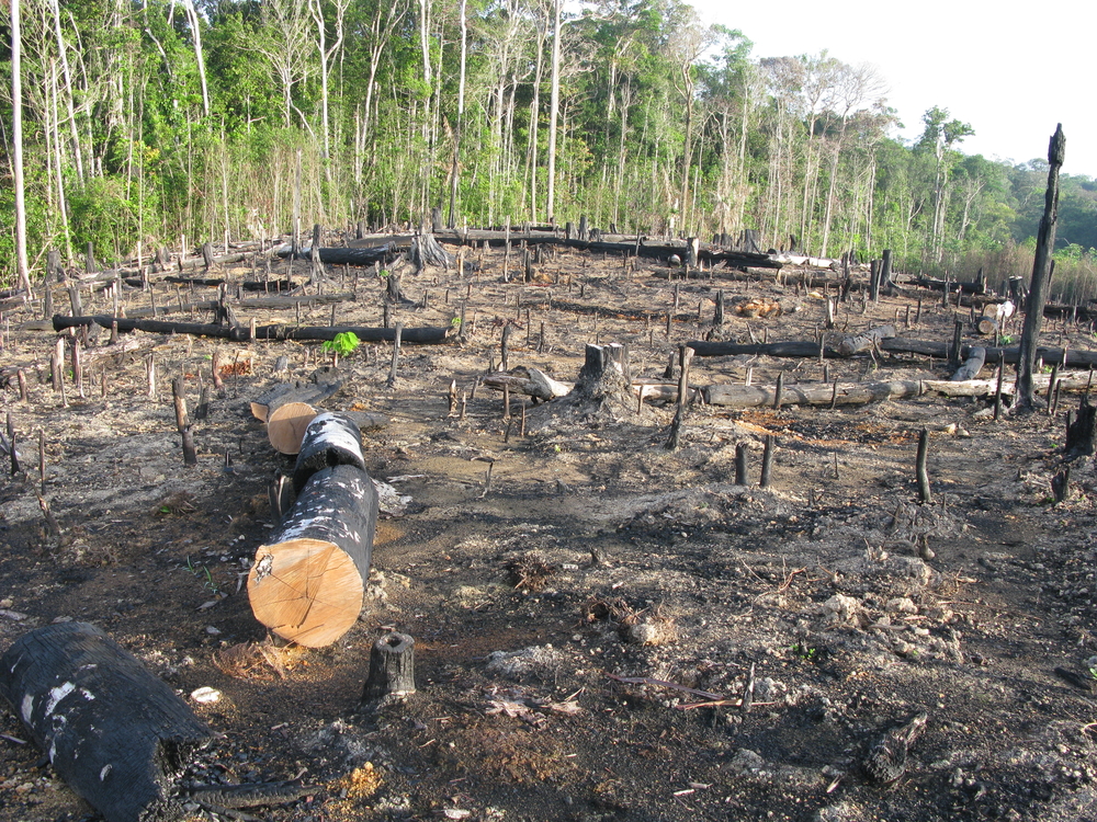 Área de desmatamento na Amazônia.